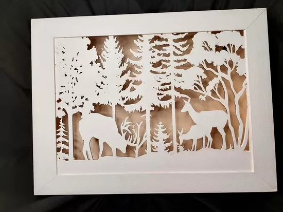 Meža briežu ēnu kaste 