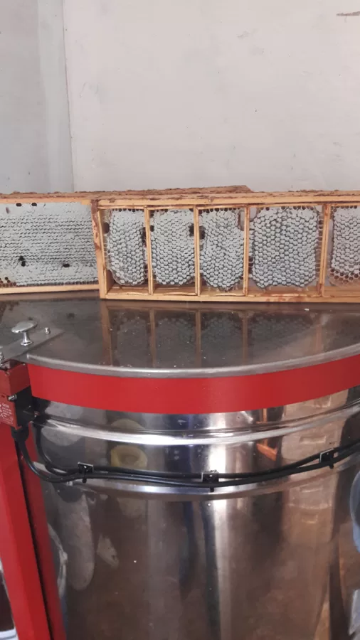 Cellular honey