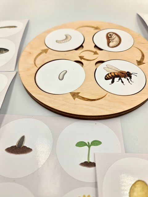 Bērnu produktu kategorijas internetveikalā – lelles, attīstošas rotaļlietas, organizatori, dāvanas zīdaiņiem un kristībām